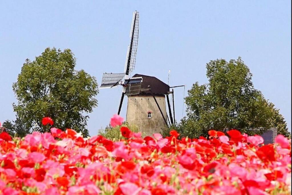 Huisje Vogelenzang Zeeland Sint-Annaland Exterior foto