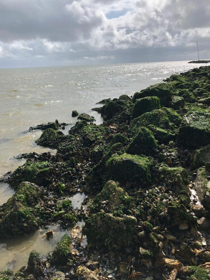Huisje Vogelenzang Zeeland Sint-Annaland Exterior foto