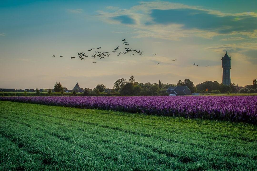 Huisje Vogelenzang Zeeland Sint-Annaland Exterior foto